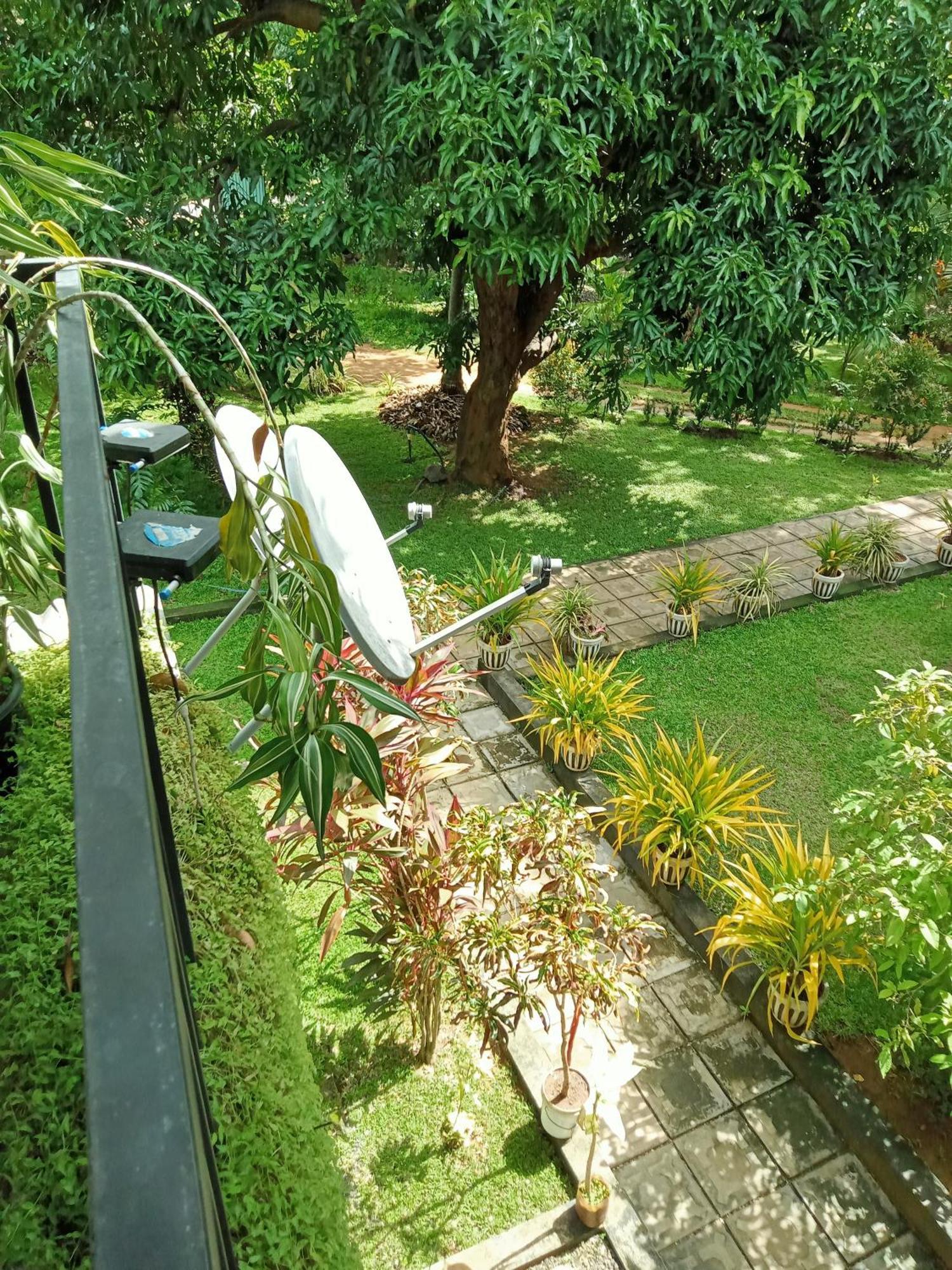 Kithmi Resort Polonnaruwa Εξωτερικό φωτογραφία