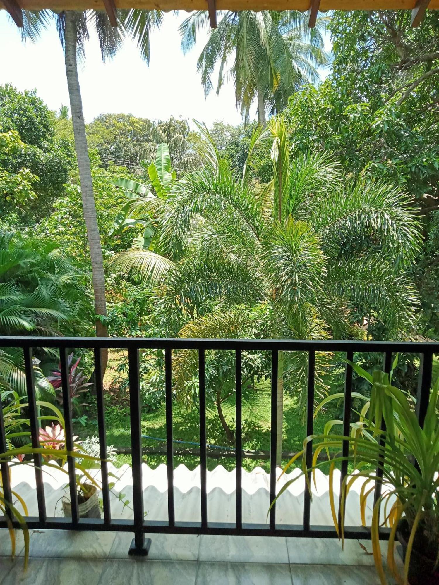 Kithmi Resort Polonnaruwa Εξωτερικό φωτογραφία
